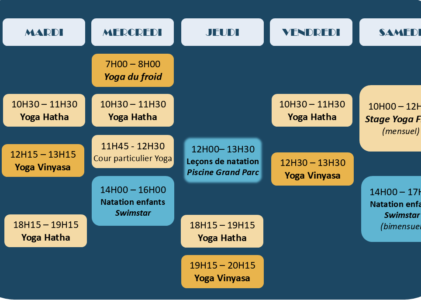 Le planning de l’année est en ligne !