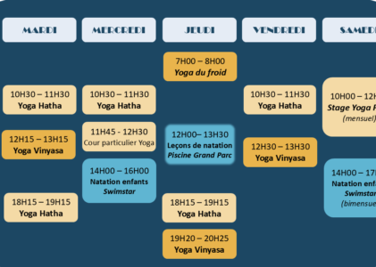 Le planning de l’année est en ligne !